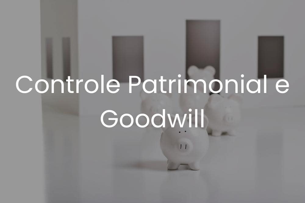 controle patrimonial goodwill