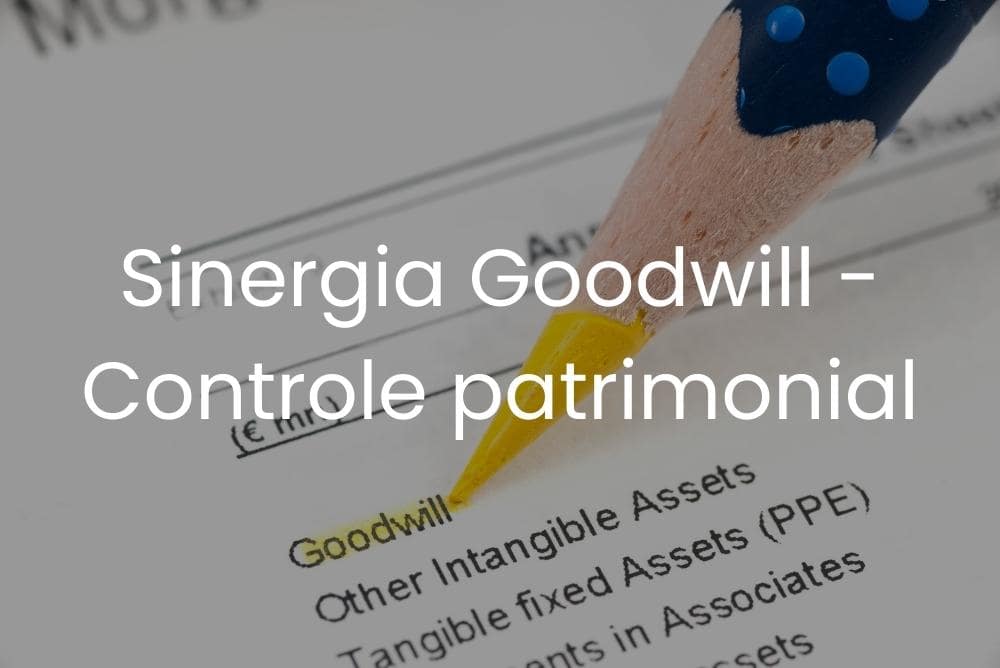 Sinergia Goodwill - Controle patrimonial